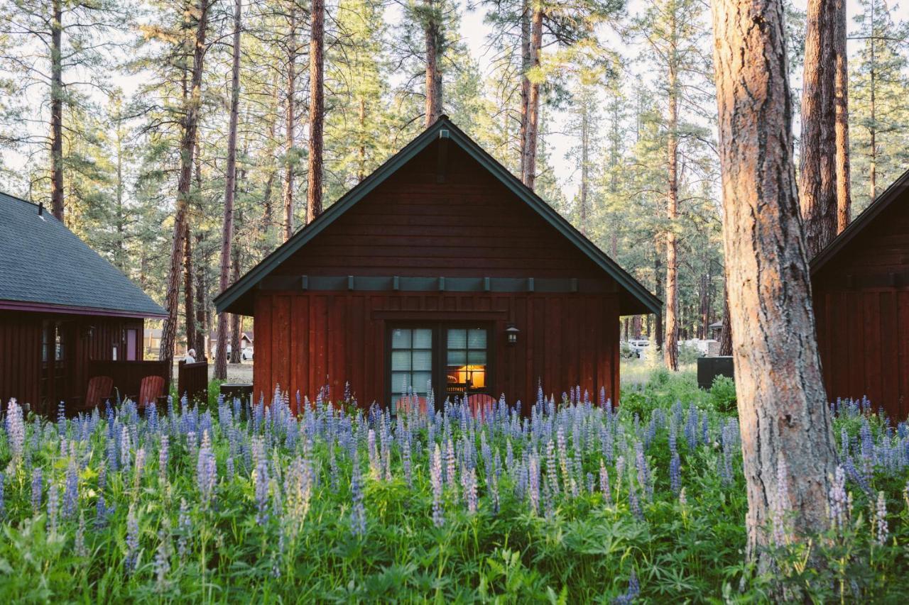 Fivepine Lodge Sisters Buitenkant foto